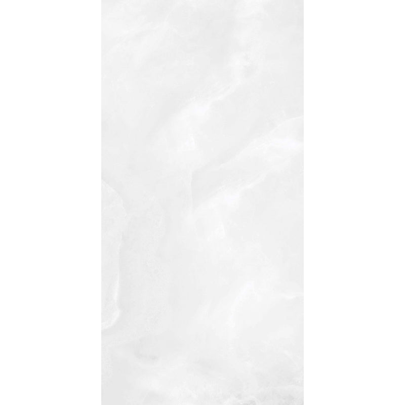 ONYX FROST PREMIUM PORCELAIN TILE