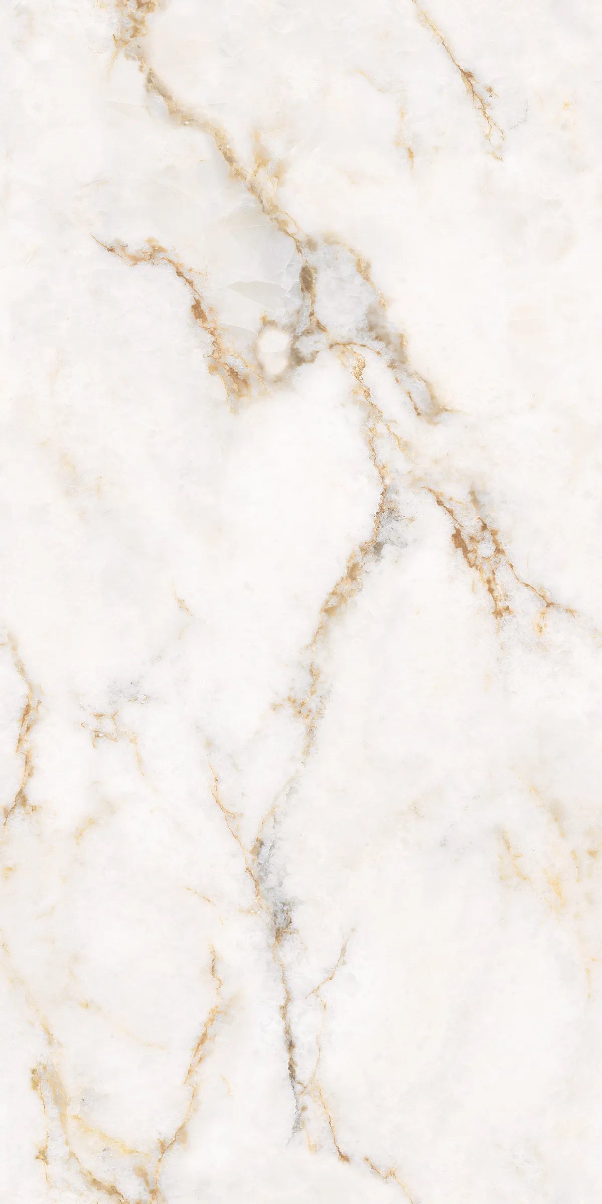 CLARET BEIGE 24X48 PREMIUM PORCELAIN TILE