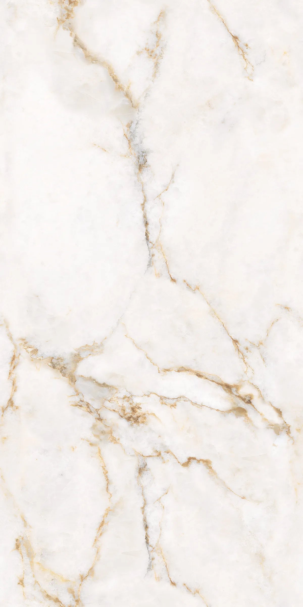 CLARET BEIGE 24X48 PREMIUM PORCELAIN TILE