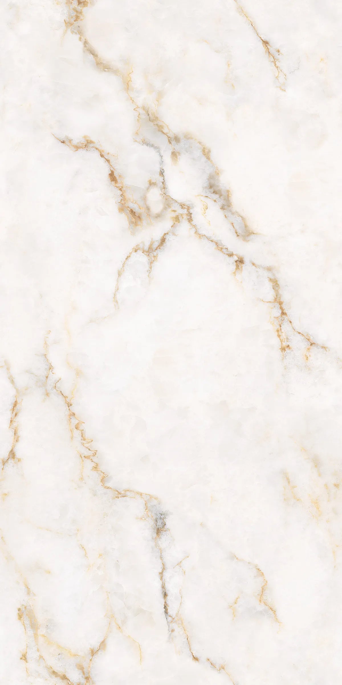 CLARET BEIGE 24X48 PREMIUM PORCELAIN TILE