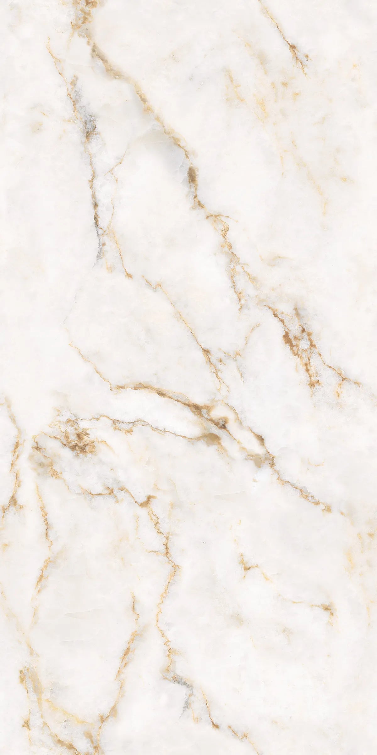 CLARET BEIGE 24X48 PREMIUM PORCELAIN TILE