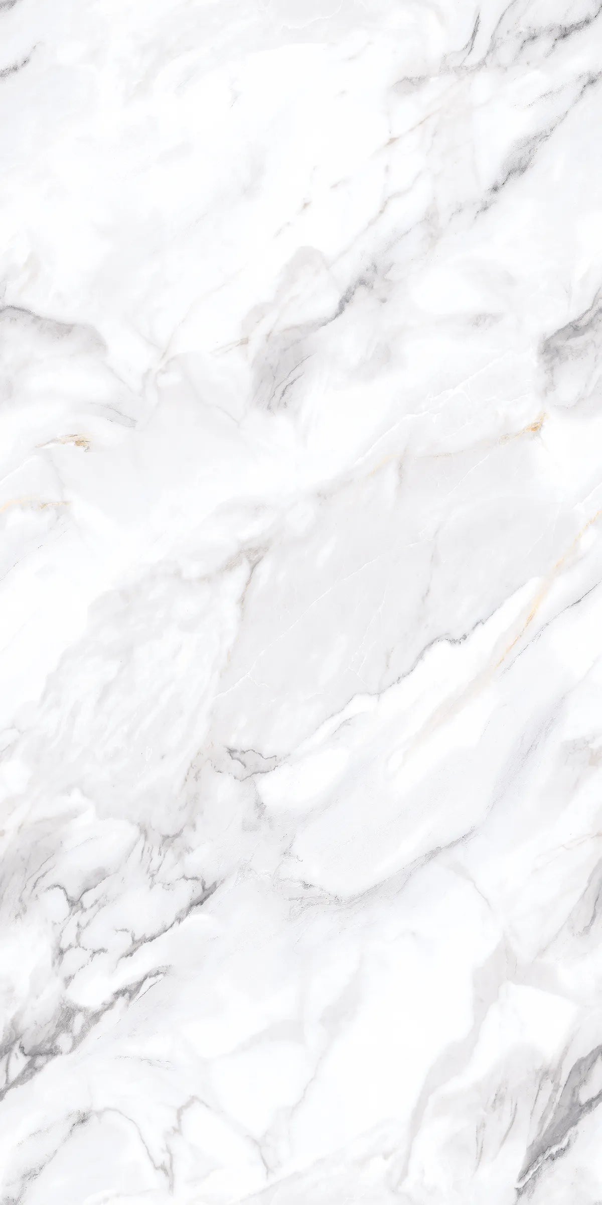 LUXOR WHITE 24X48 PREMIUM PORCELAIN TILE