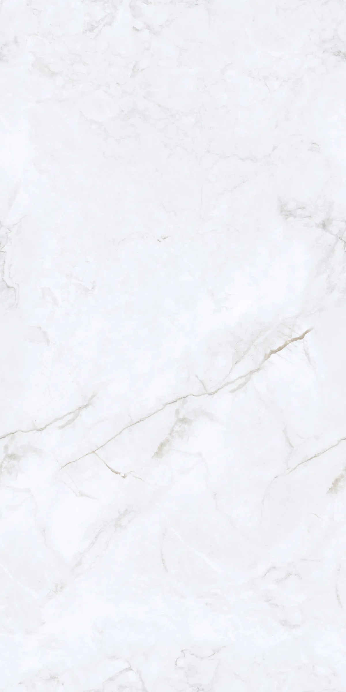 INVISIBLE ICE 24X48 PREMIUM PORCELAIN TILE