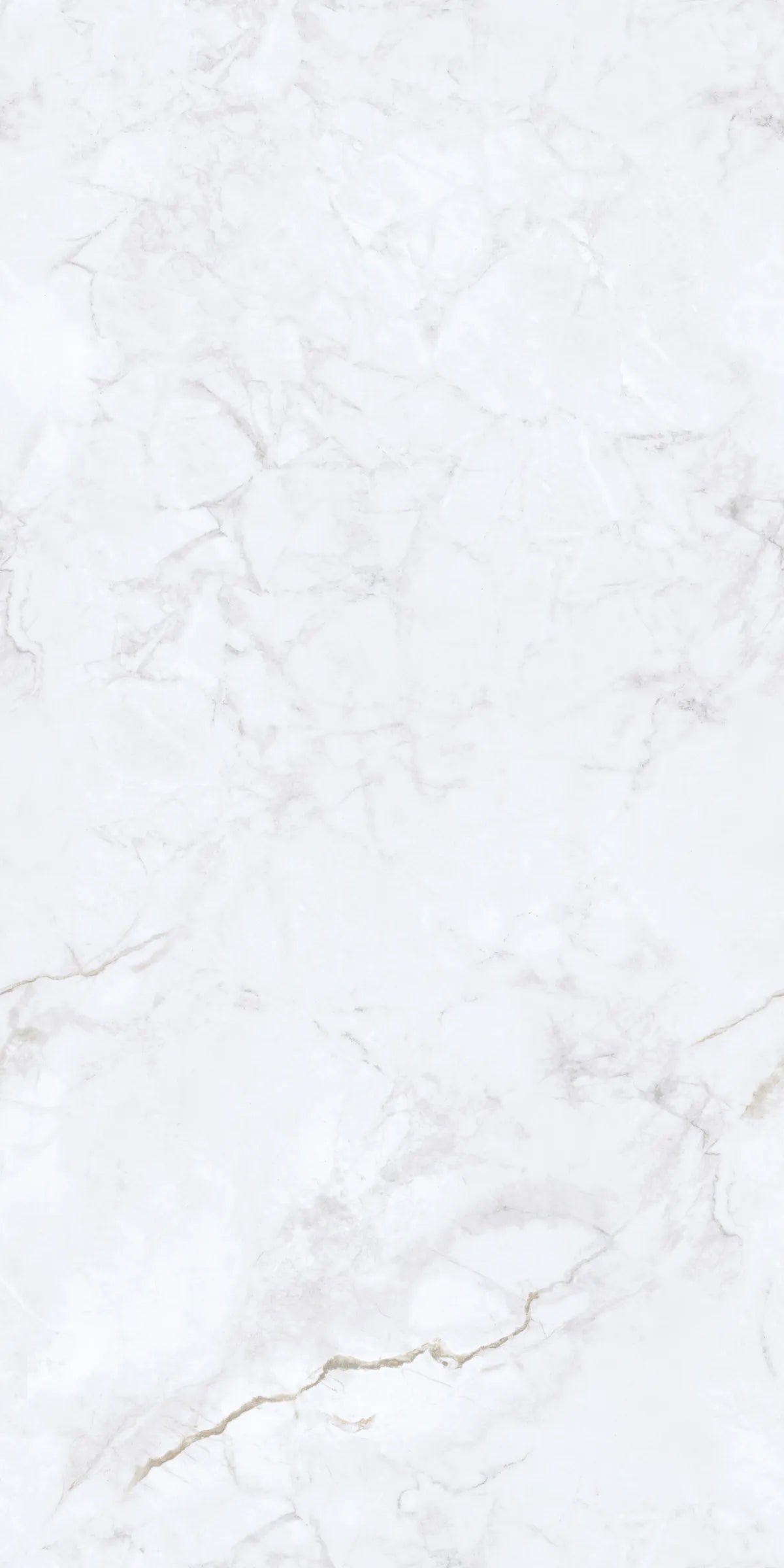 INVISIBLE ICE 24X48 PREMIUM PORCELAIN TILE