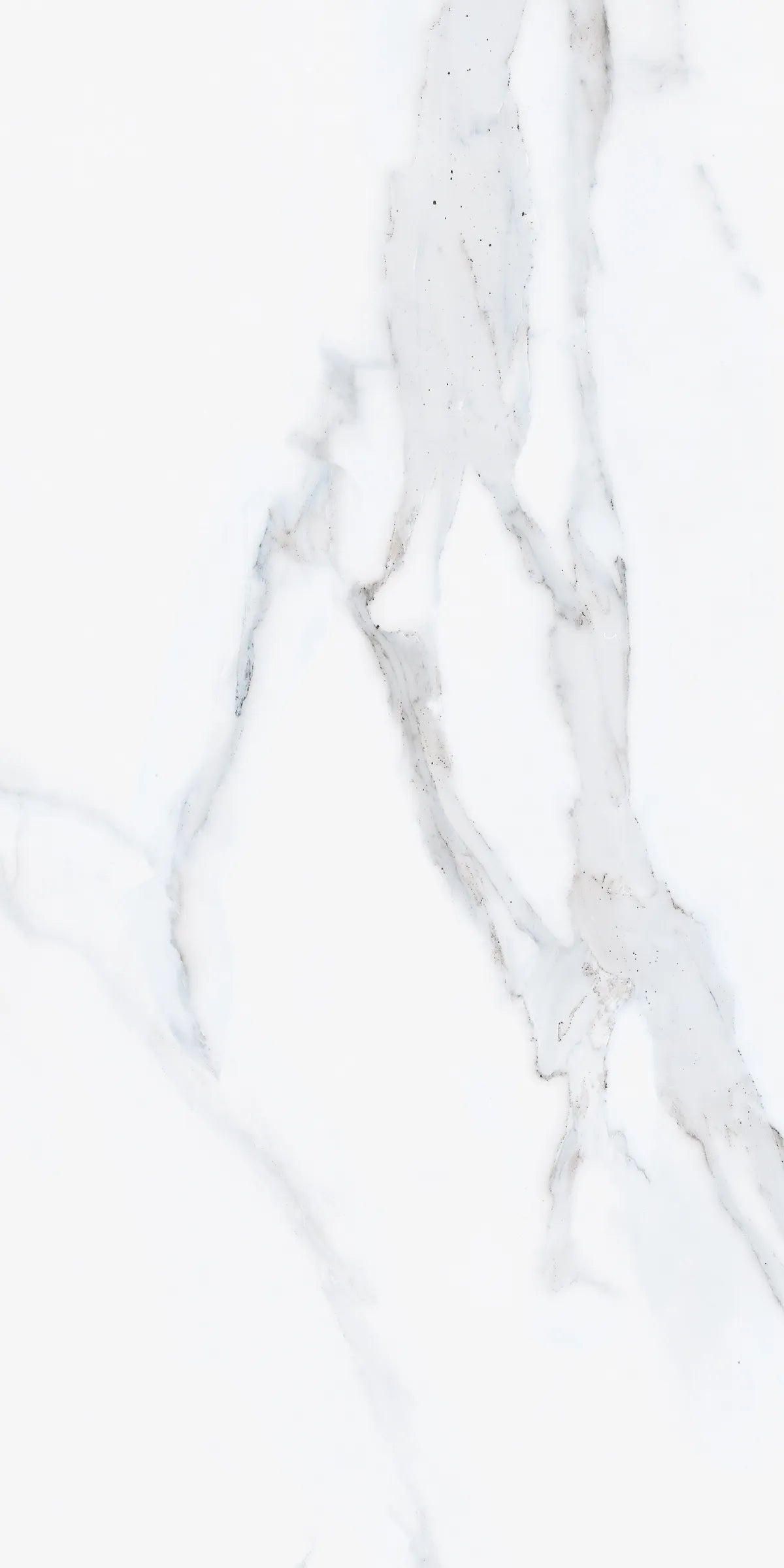 EDEN STATUARIO 24X48 PREMIUM PORCELAIN TILE