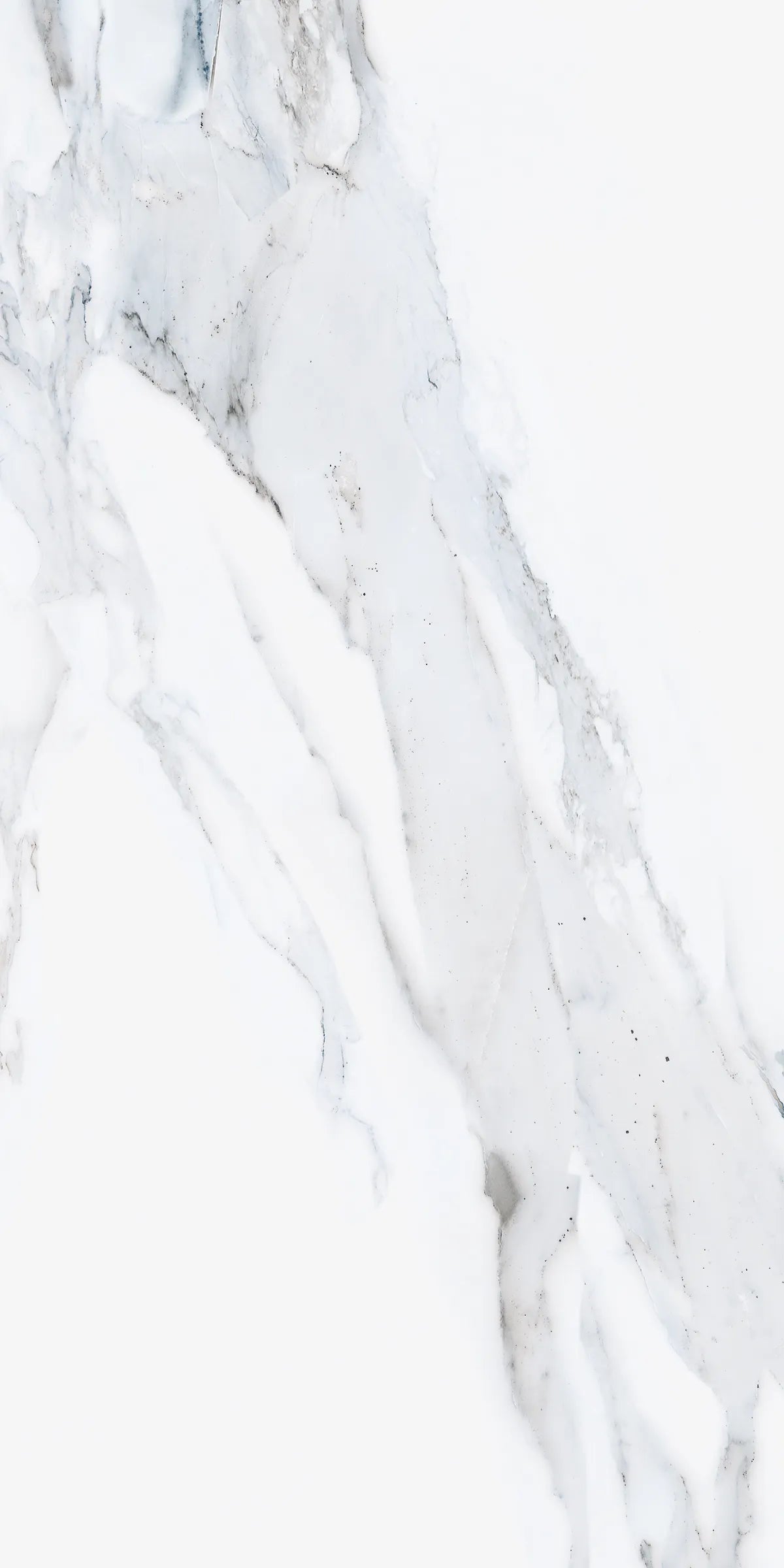 EDEN STATUARIO 24X48 PREMIUM PORCELAIN TILE