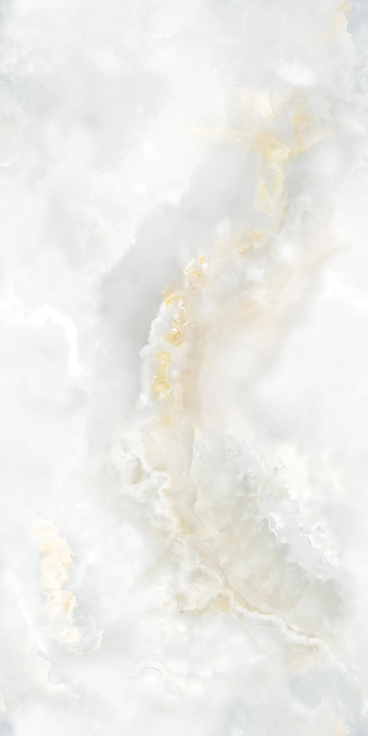 ARTIC ONYX 24X48 PREMIUM PORCELAIN TILE