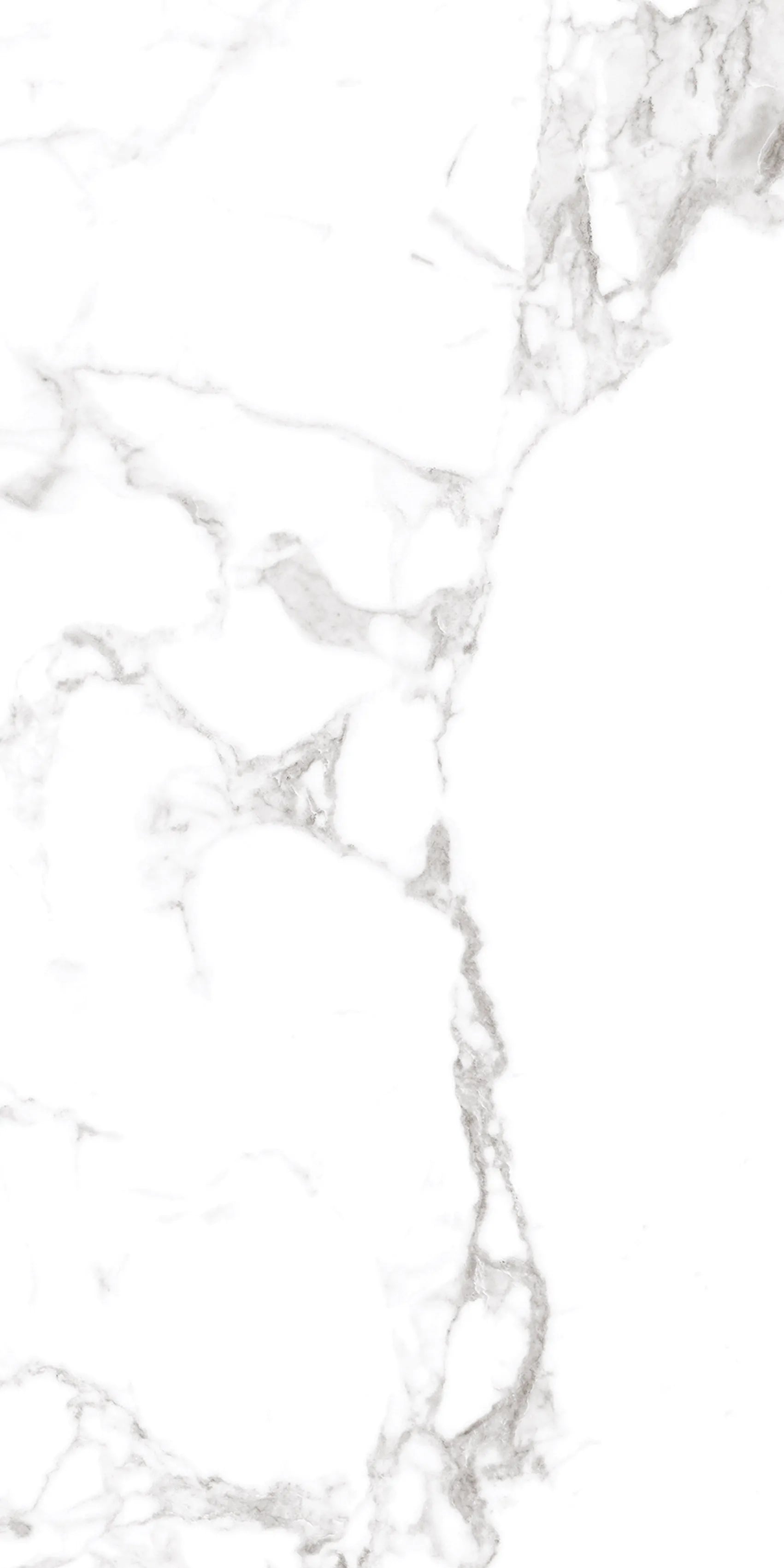 CALACUTTA PRESTIGE 24X48 PREMIUM PORCELAIN TILE