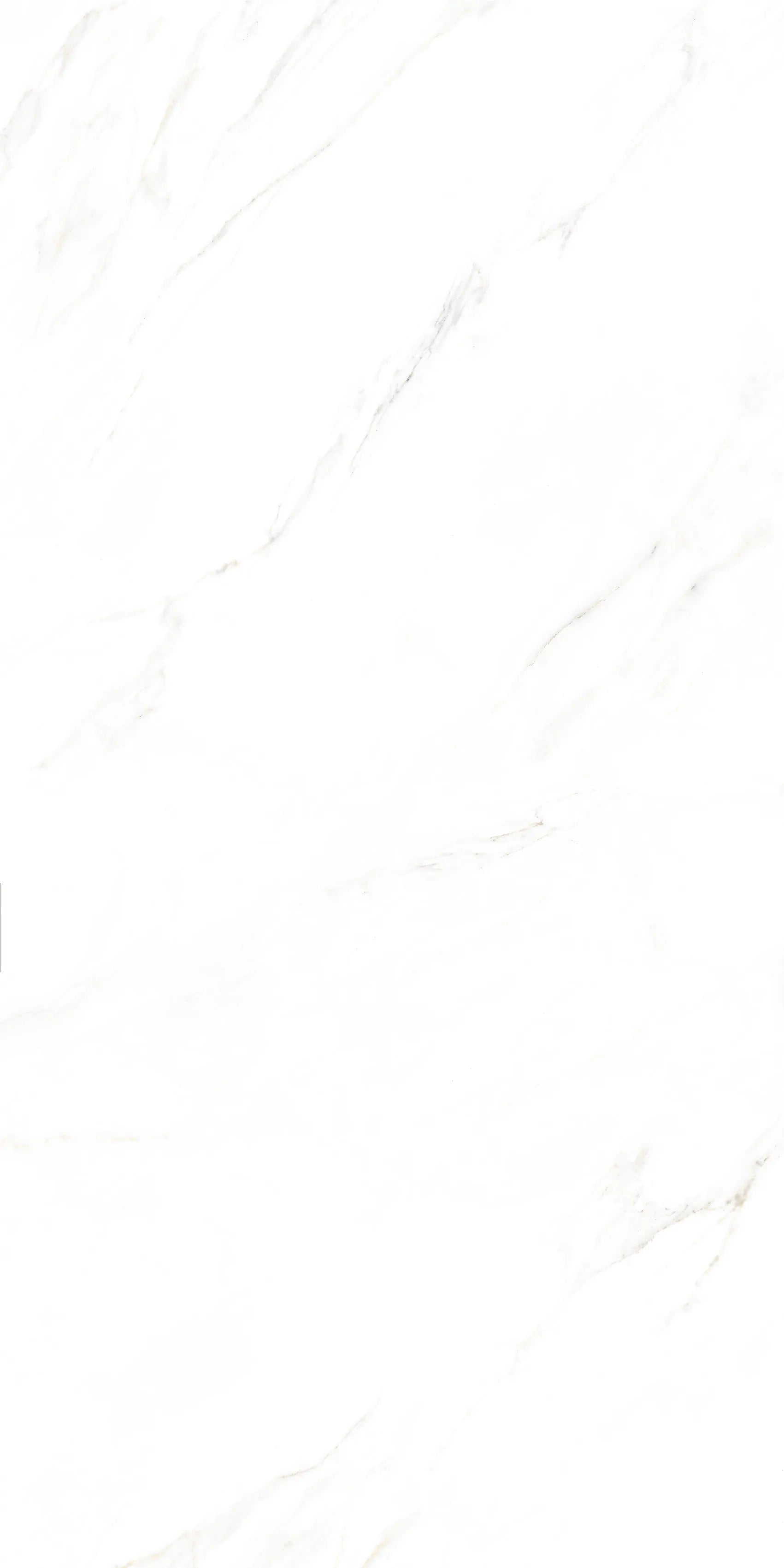 CALACUTTA BELEZZA 24X48 PREMIUM PORCELAIN TILE