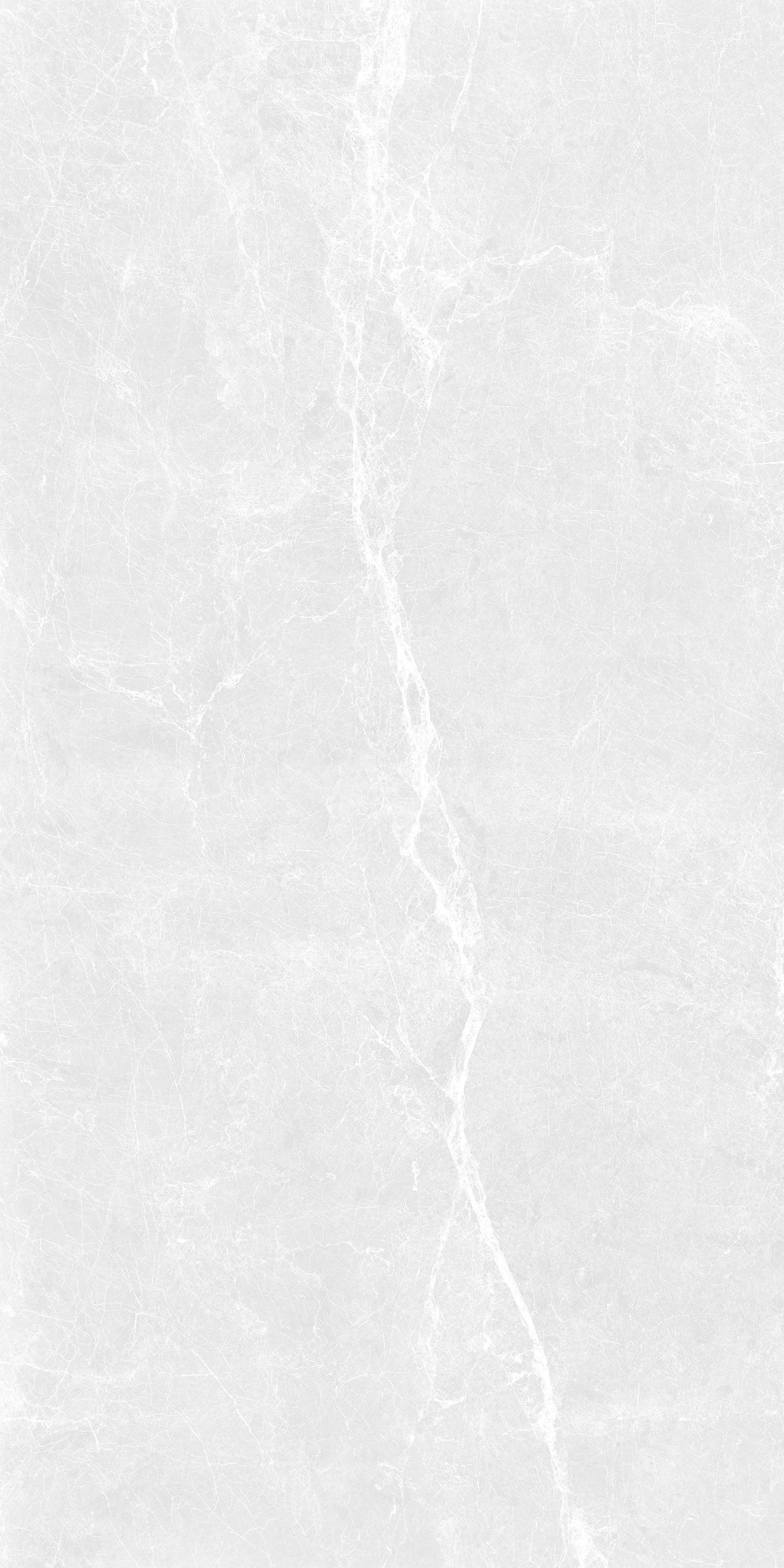 DOVE SCALES 24X48 PREMIUM PORCELAIN TILE