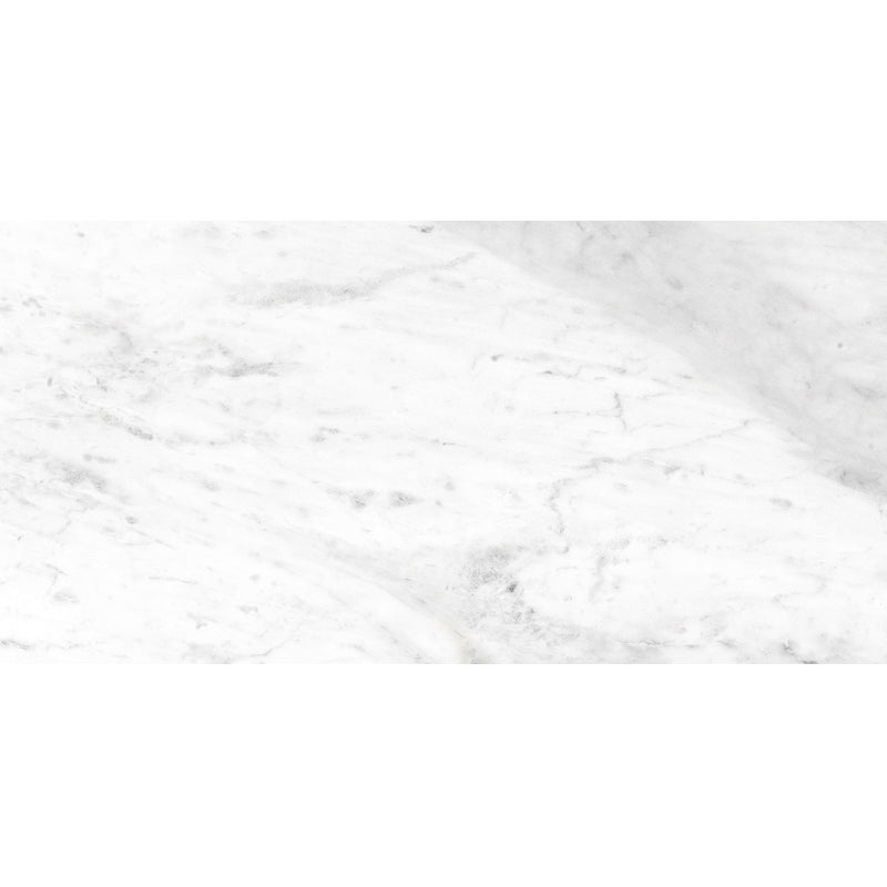 ROYAL CARRARA PREMIUM PORCELAIN TILE