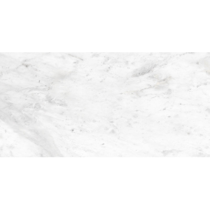 ROYAL CARRARA PREMIUM PORCELAIN TILE