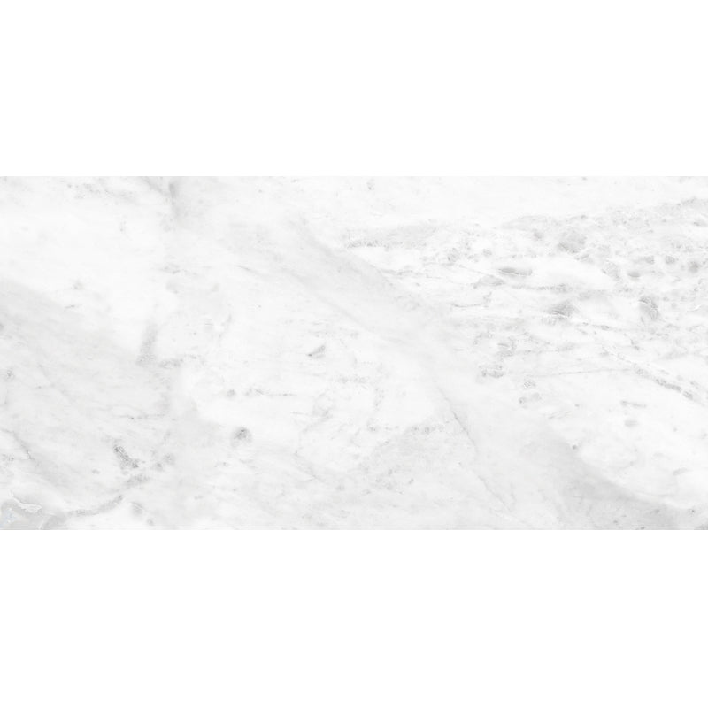 ROYAL CARRARA PREMIUM PORCELAIN TILE