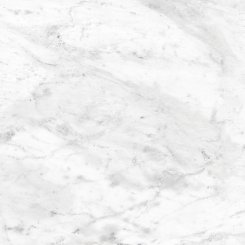 ROYAL CARRARA PREMIUM PORCELAIN TILE
