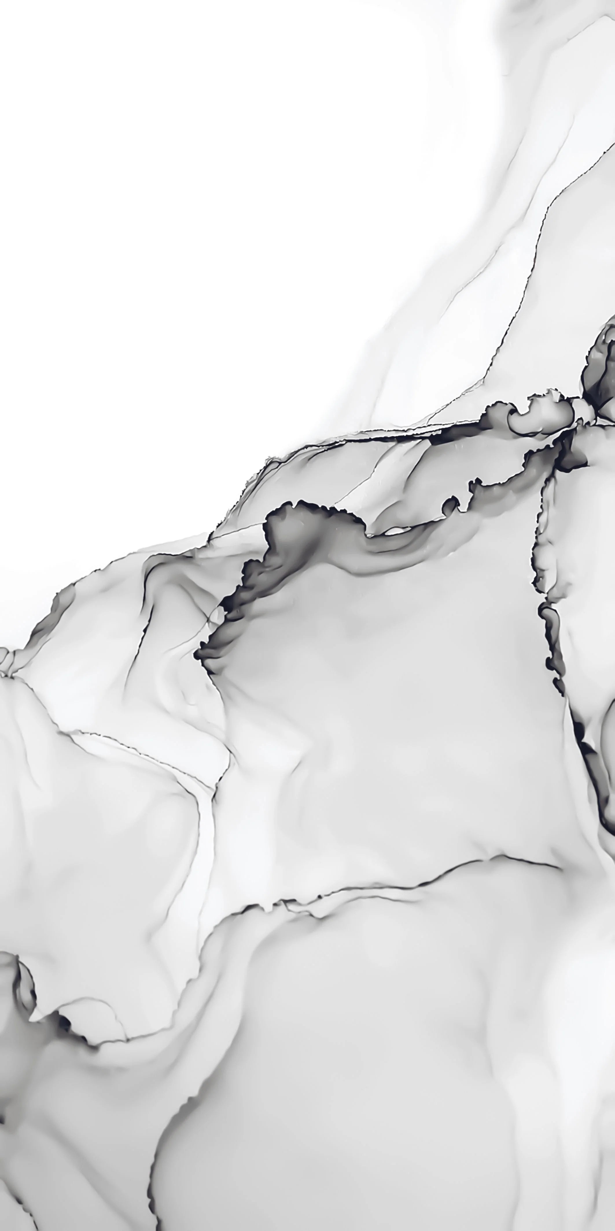 Cloudy White 24X48 PREMIUM PORCELAIN TILE