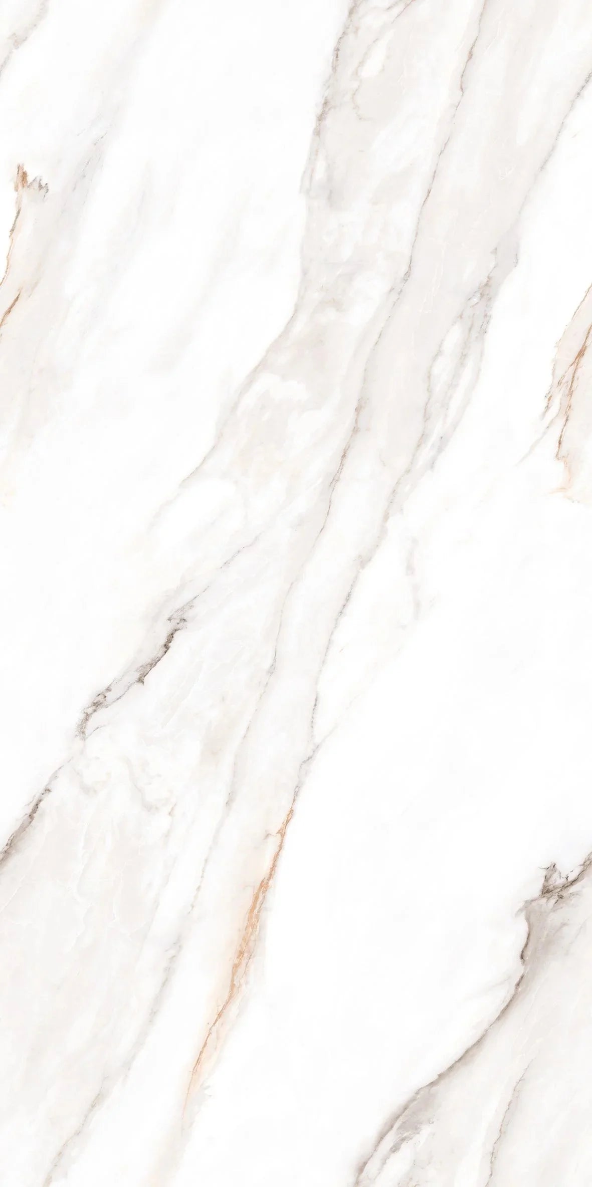 SENSO WHITE 24X48 PREMIUM PORCELAIN TILE