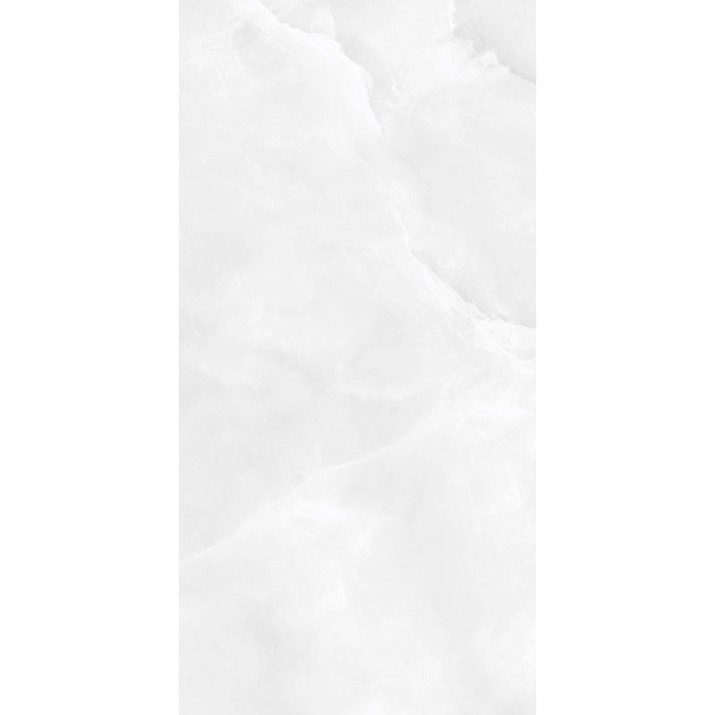 ONYX FROST PREMIUM PORCELAIN TILE