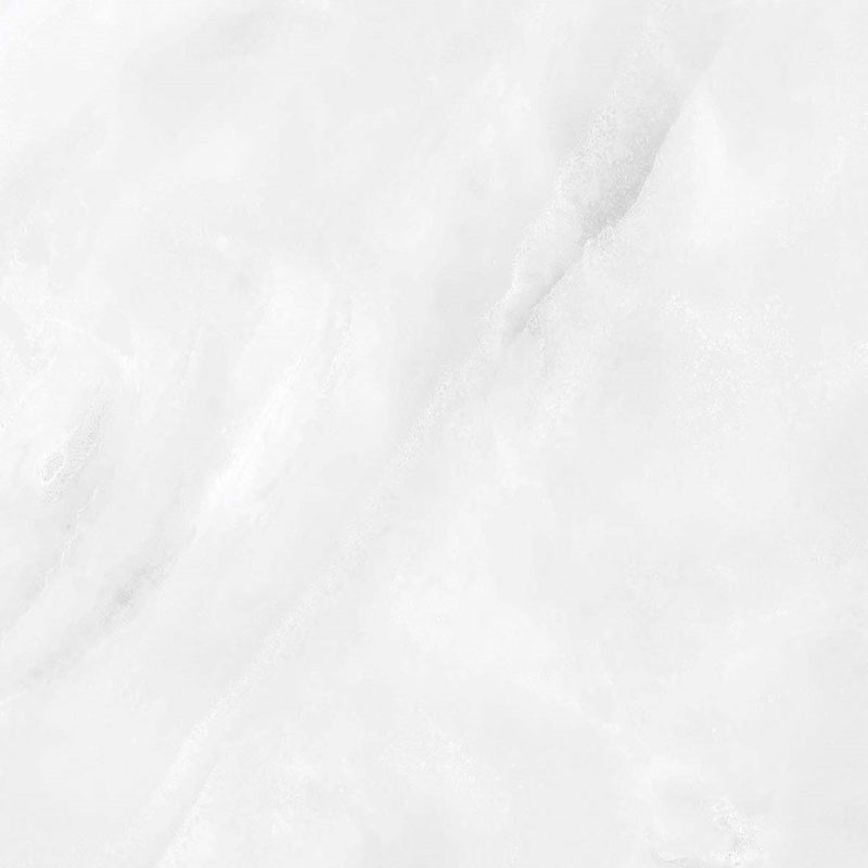 ONYX FROST PREMIUM PORCELAIN TILE