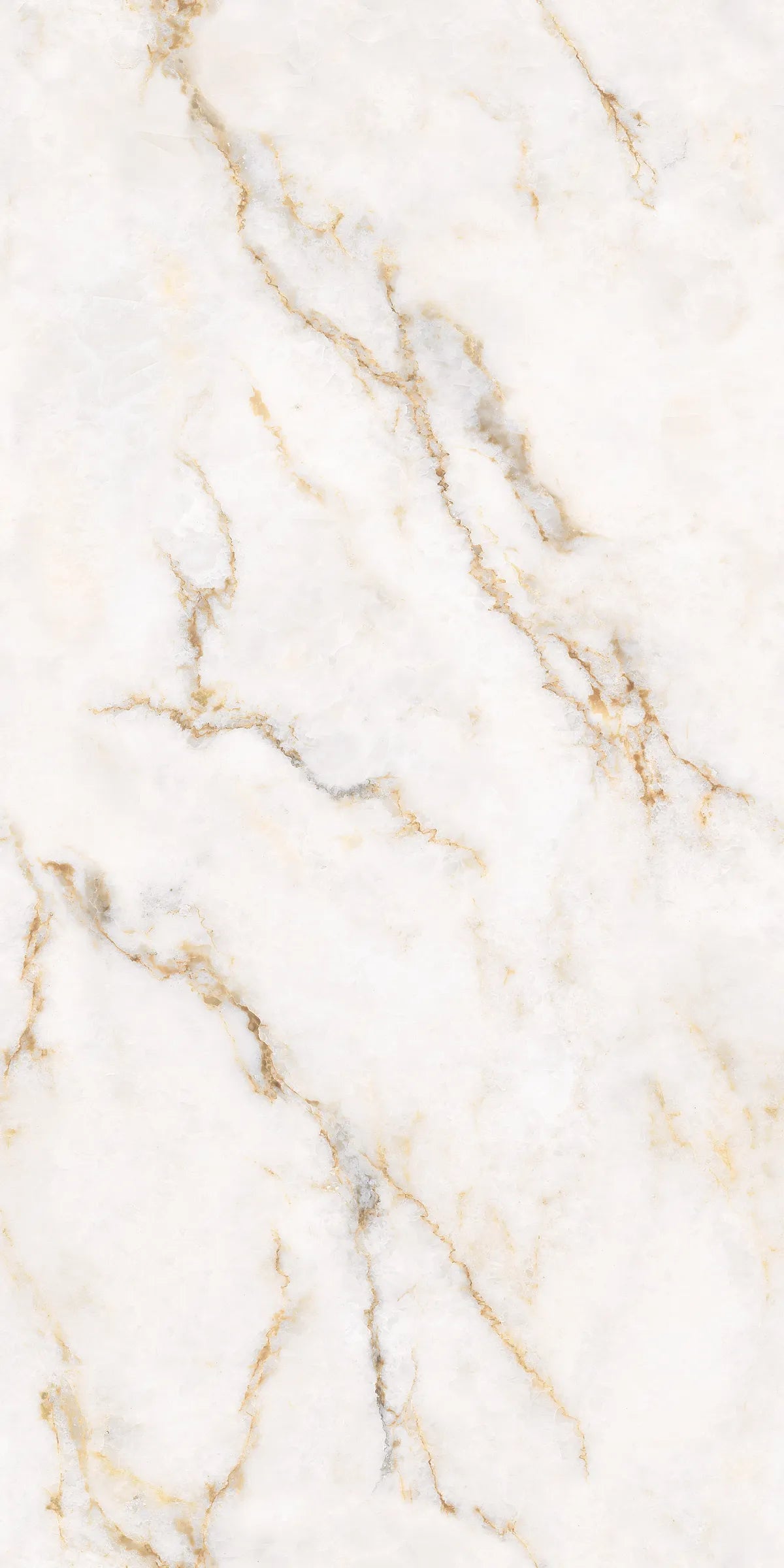 CLARET BEIGE 24X48 PREMIUM PORCELAIN TILE