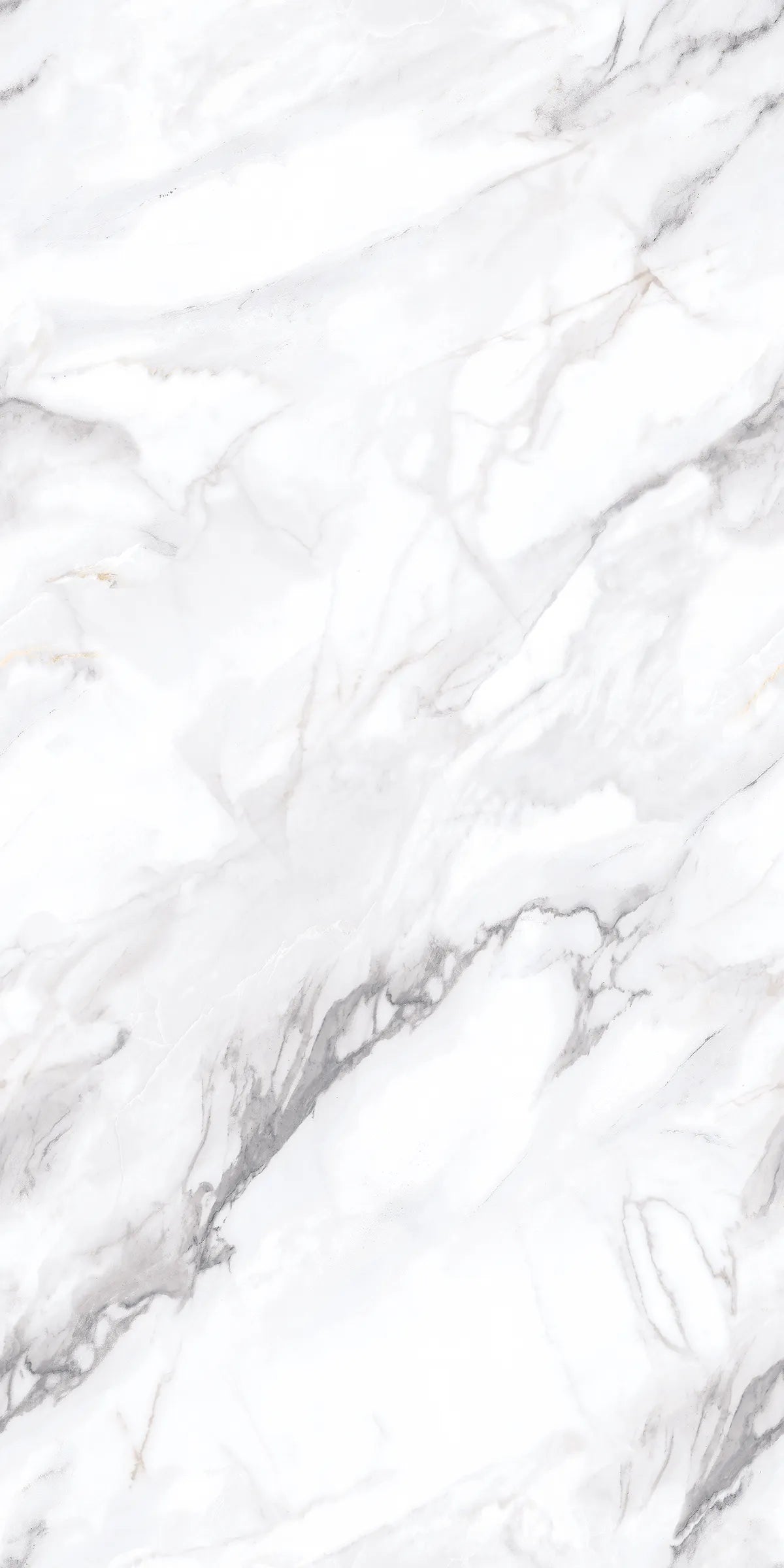 LUXOR WHITE 24X48 PREMIUM PORCELAIN TILE