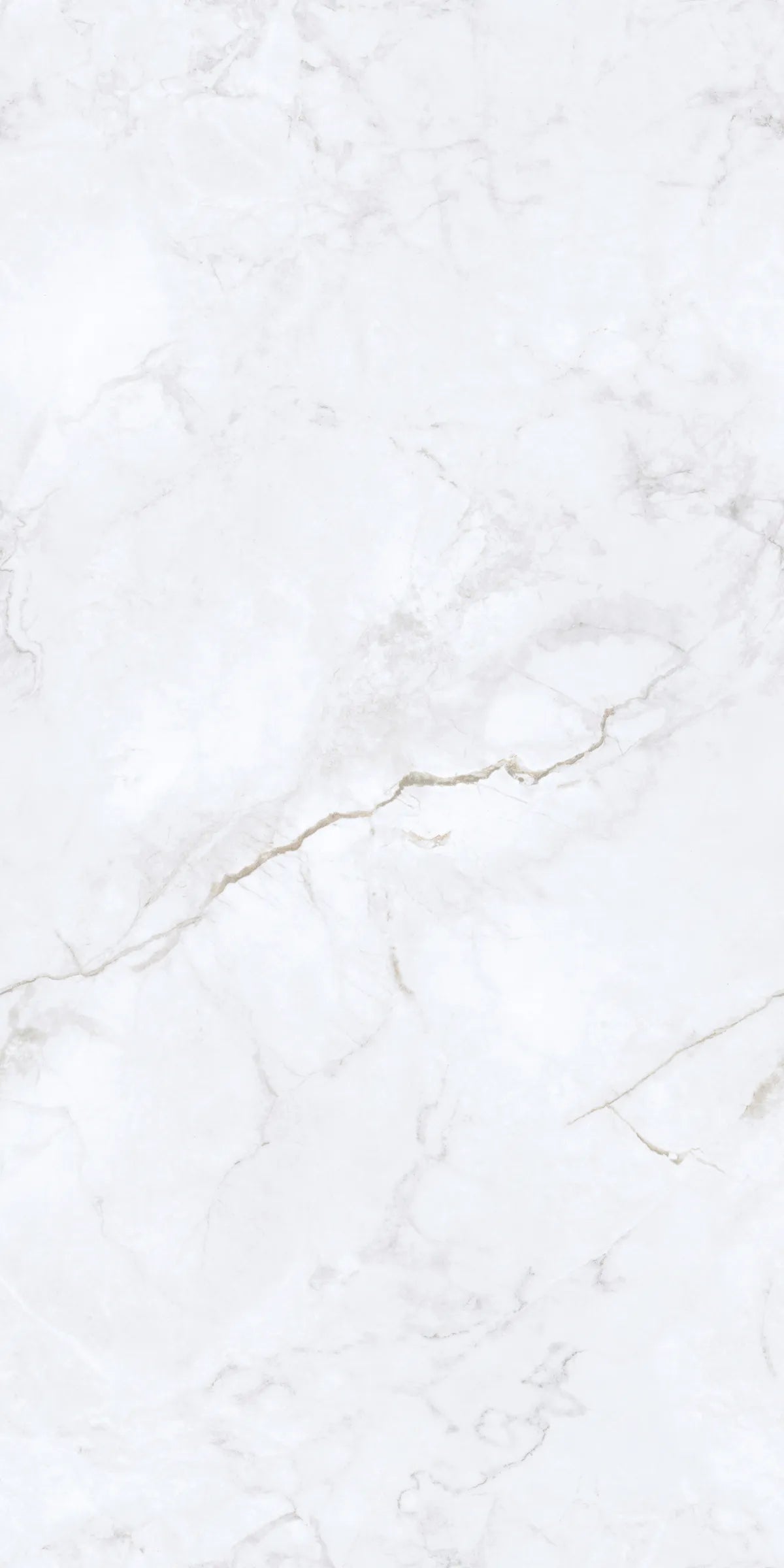 INVISIBLE ICE 24X48 PREMIUM PORCELAIN TILE