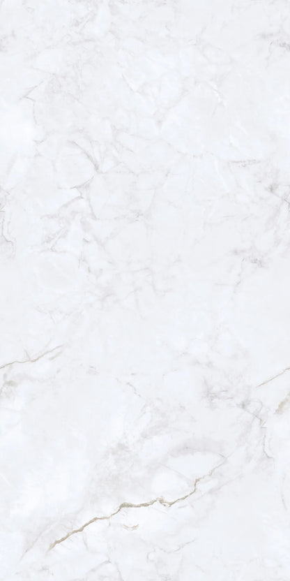 INVISIBLE ICE 24X48 PREMIUM PORCELAIN TILE