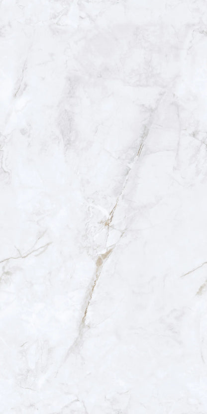INVISIBLE ICE 24X48 PREMIUM PORCELAIN TILE