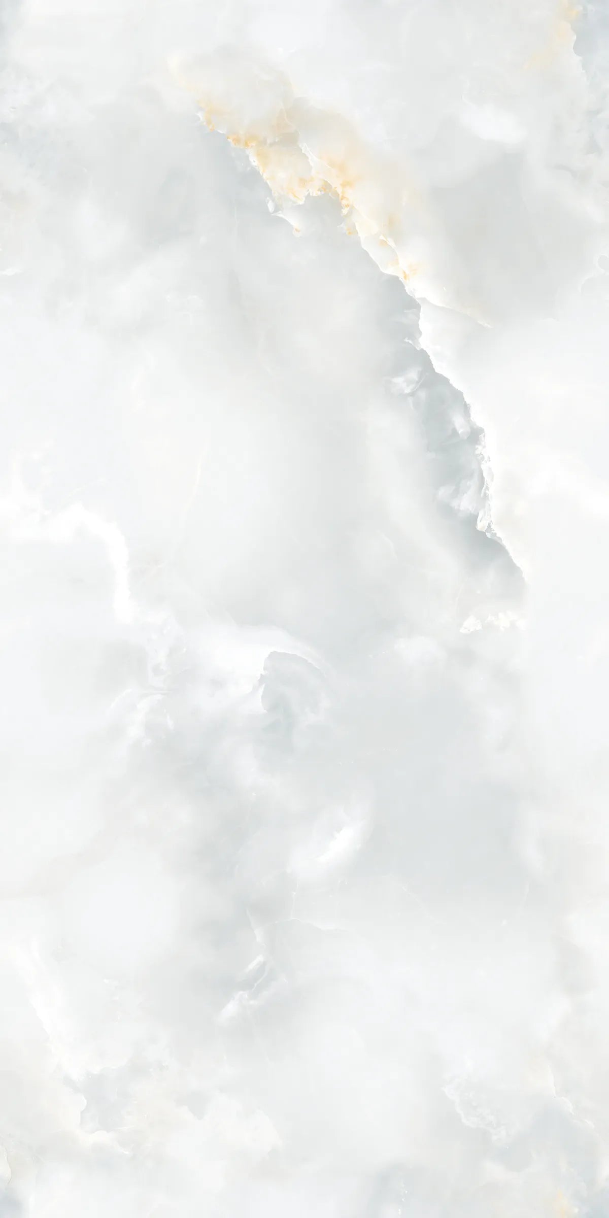 ARTIC ONYX 24X48 PREMIUM PORCELAIN TILE