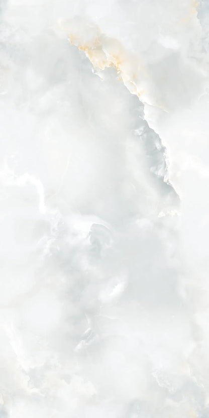 ARTIC ONYX 24X48 PREMIUM PORCELAIN TILE