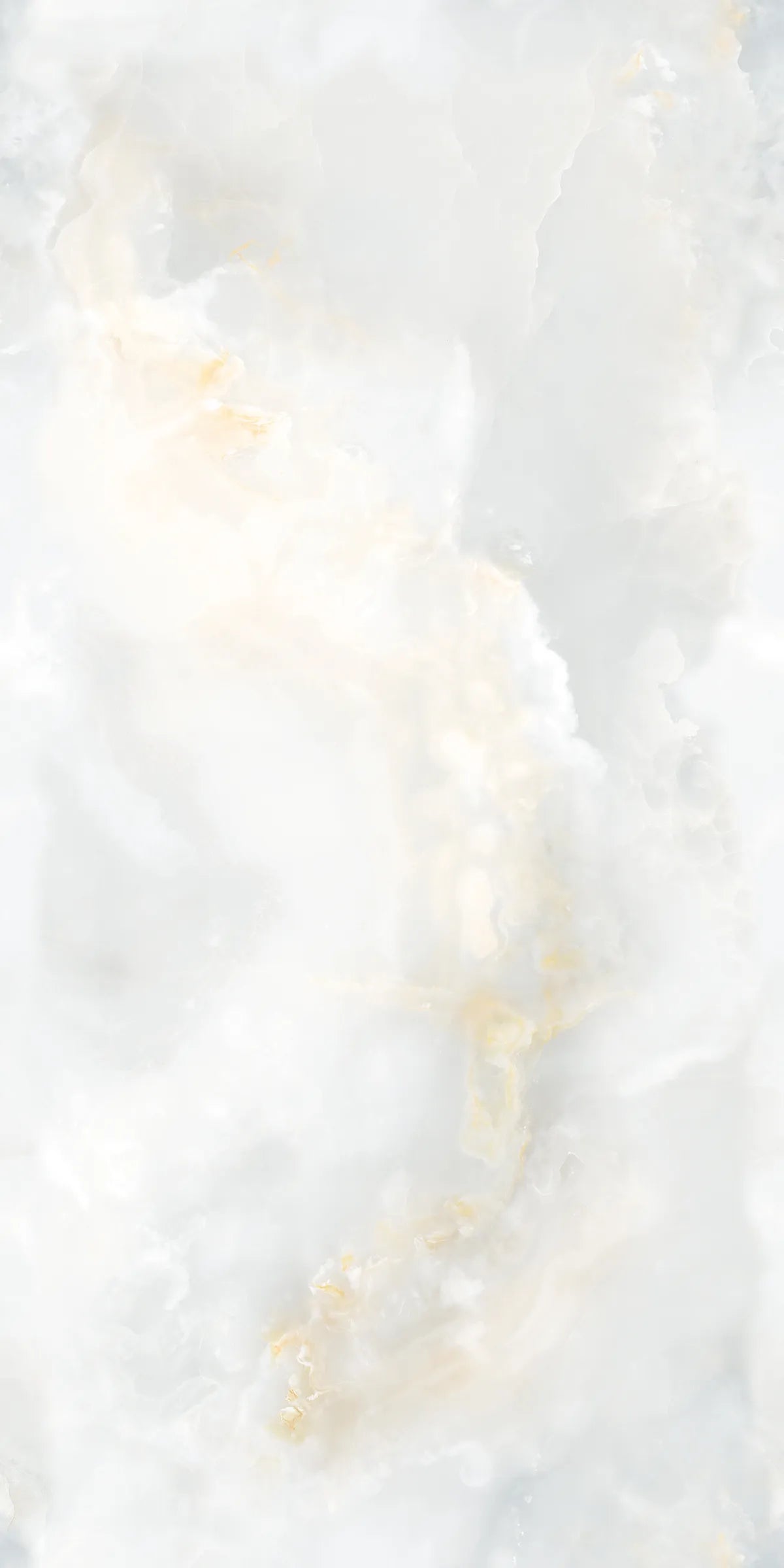 ARTIC ONYX 24X48 PREMIUM PORCELAIN TILE