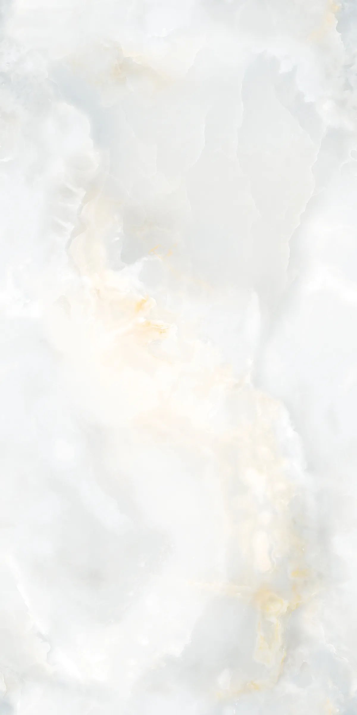 ARTIC ONYX 24X48 PREMIUM PORCELAIN TILE