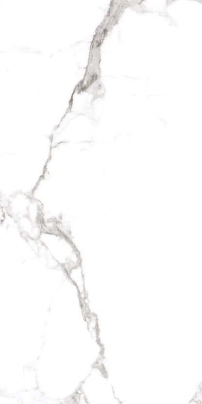 CALACUTTA PRESTIGE 24X48 PREMIUM PORCELAIN TILE