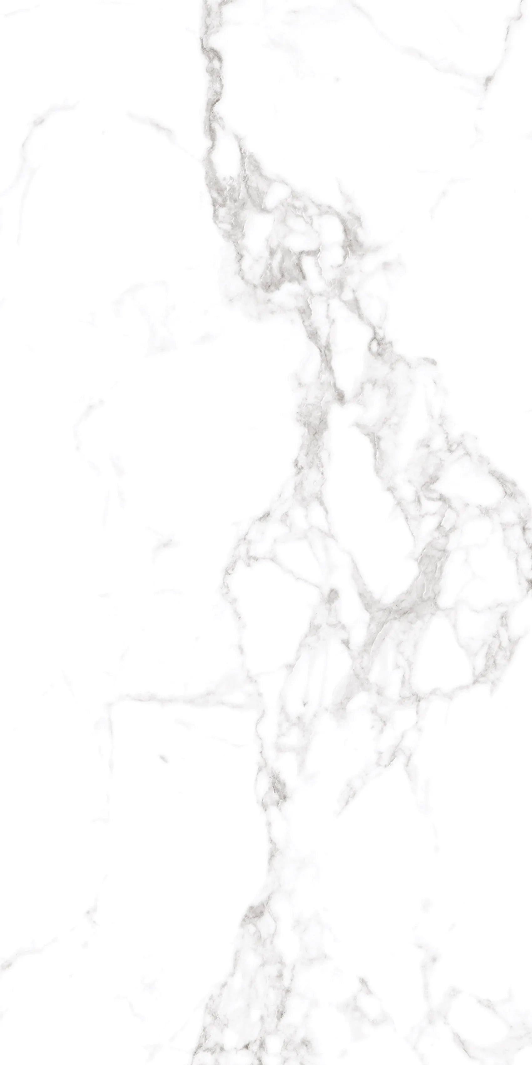 CALACUTTA PRESTIGE 24X48 PREMIUM PORCELAIN TILE