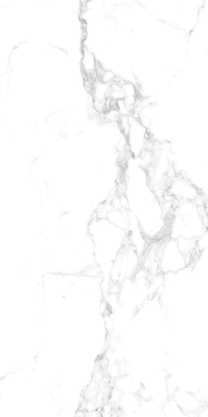 CALACUTTA PRESTIGE 24X48 PREMIUM PORCELAIN TILE