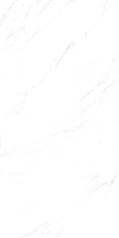 CALACUTTA BELEZZA 24X48 PREMIUM PORCELAIN TILE