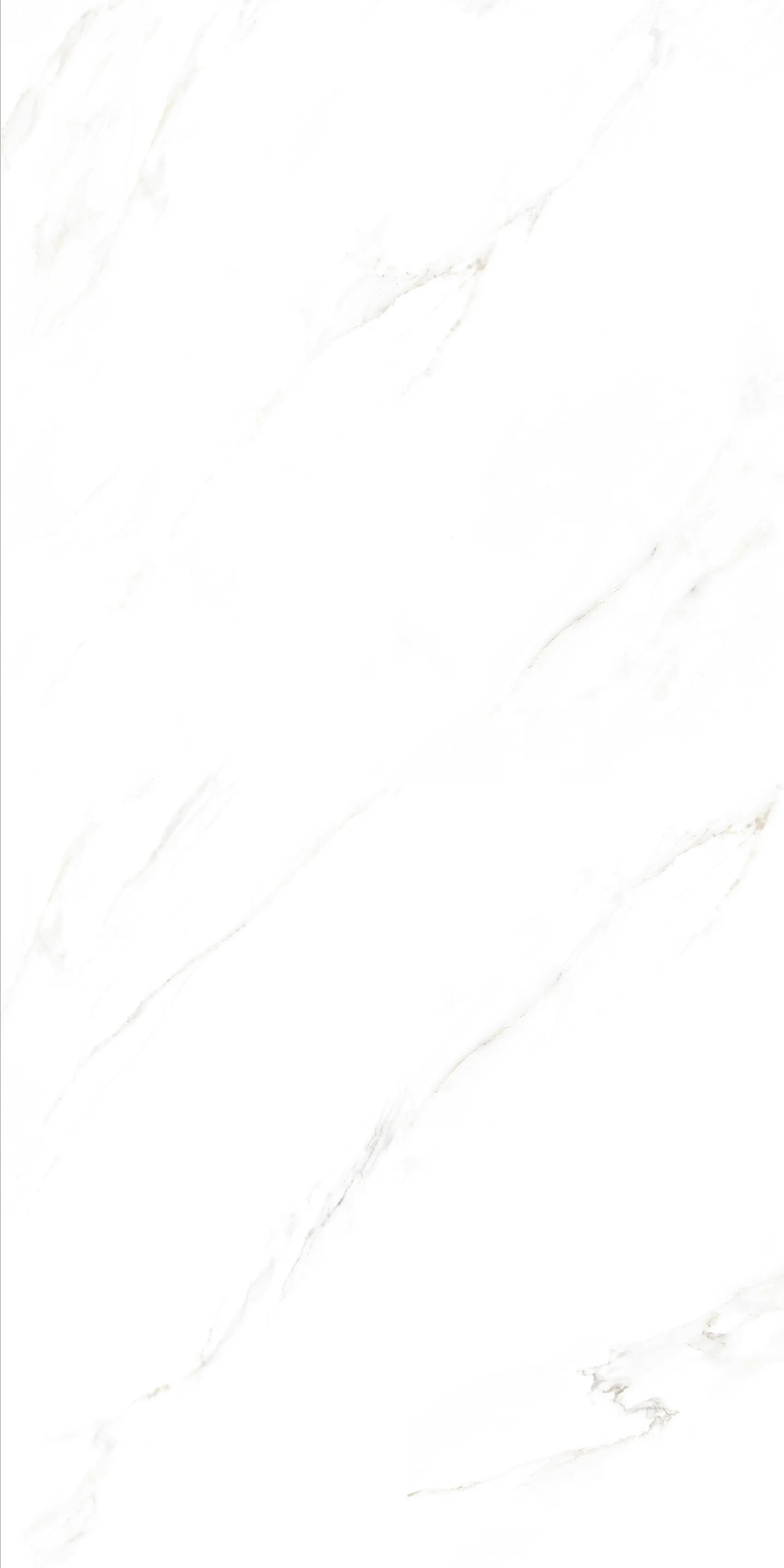 CALACUTTA BELEZZA 24X48 PREMIUM PORCELAIN TILE