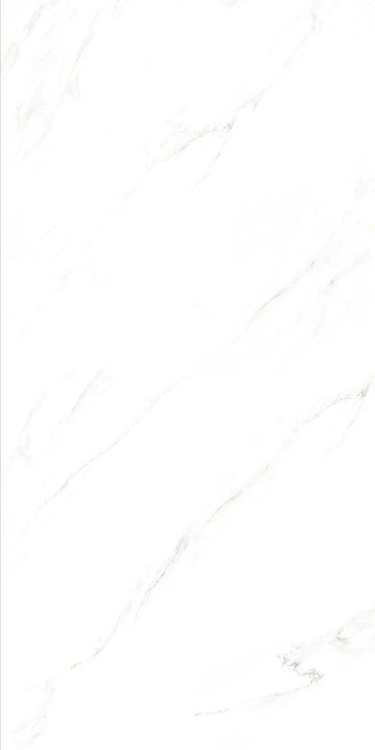 CALACUTTA BELEZZA 24X48 PREMIUM PORCELAIN TILE