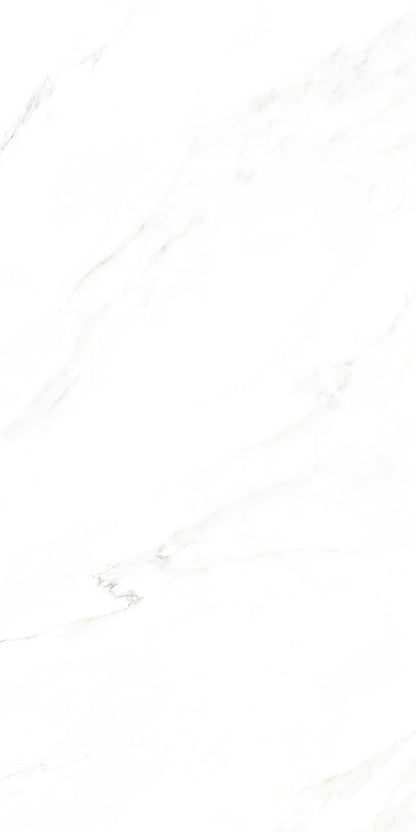 CALACUTTA BELEZZA 24X48 PREMIUM PORCELAIN TILE