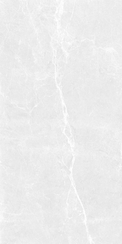 DOVE SCALES 24X48 PREMIUM PORCELAIN TILE