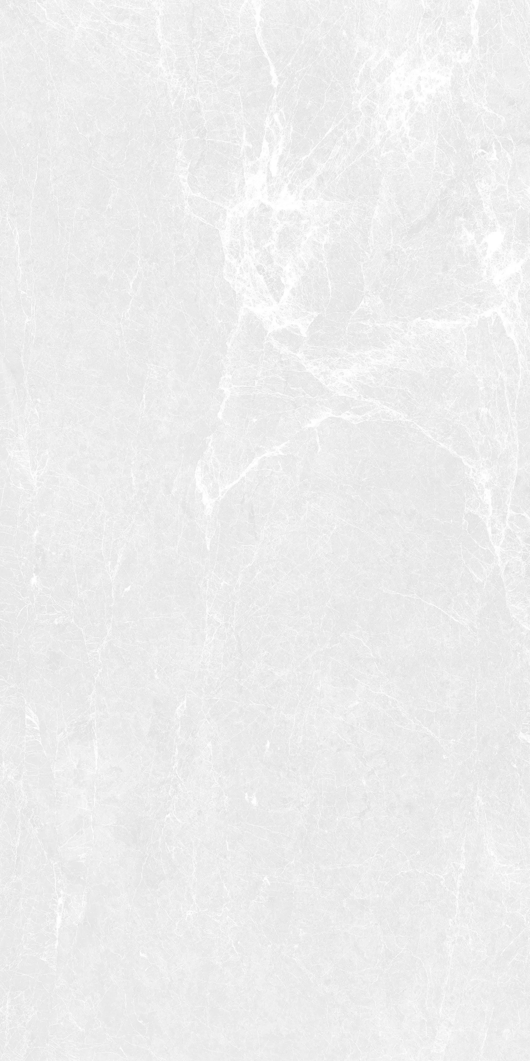 DOVE SCALES 24X48 PREMIUM PORCELAIN TILE