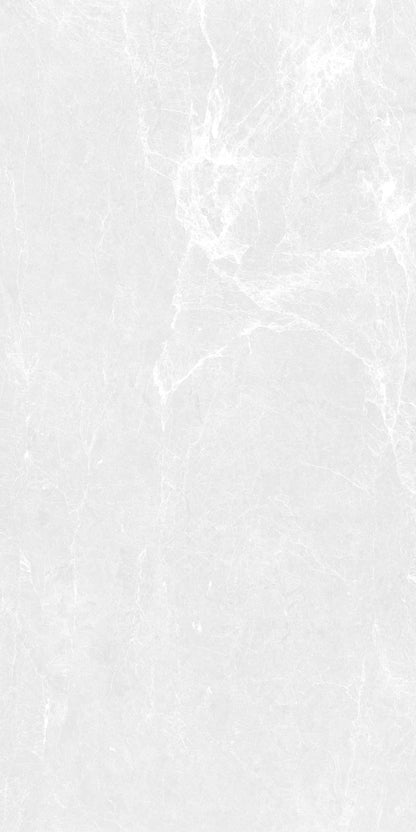 DOVE SCALES 24X48 PREMIUM PORCELAIN TILE