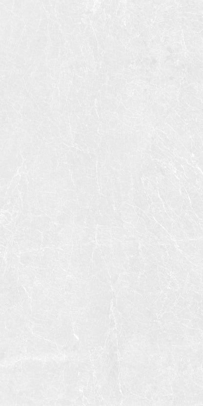 DOVE SCALES 24X48 PREMIUM PORCELAIN TILE