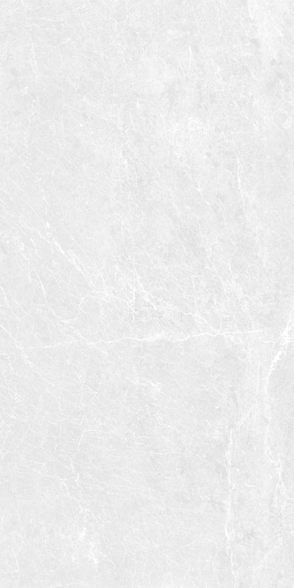 DOVE SCALES 24X48 PREMIUM PORCELAIN TILE