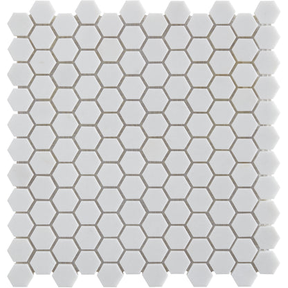 Thassos 1" Hexagon Polished Marble Mosaic