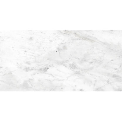 ROYAL CARRARA PREMIUM PORCELAIN TILE
