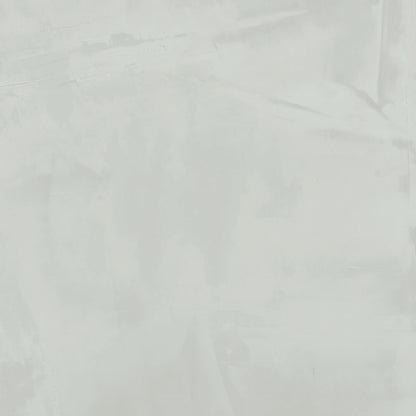 PAINT WHITE PREMIUM PORCELAIN TILE
