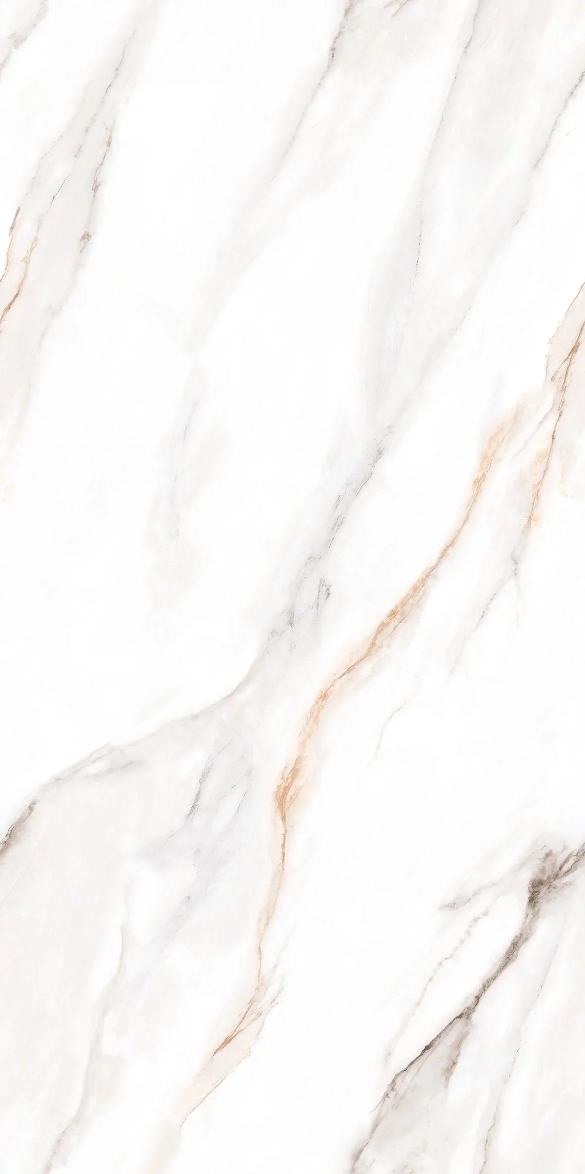 SENSO WHITE 24X48 PREMIUM PORCELAIN TILE