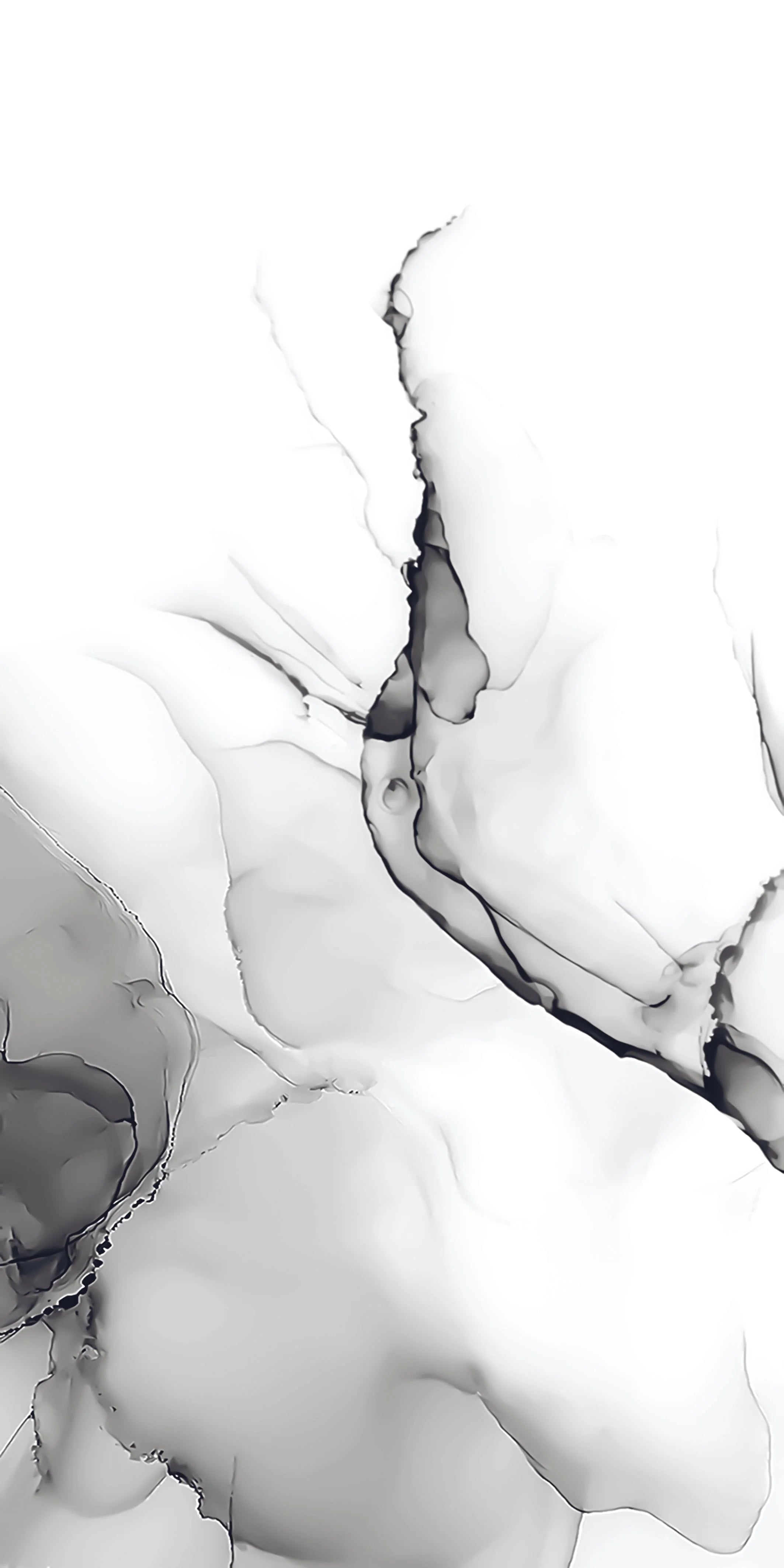 Cloudy White 24X48 PREMIUM PORCELAIN TILE