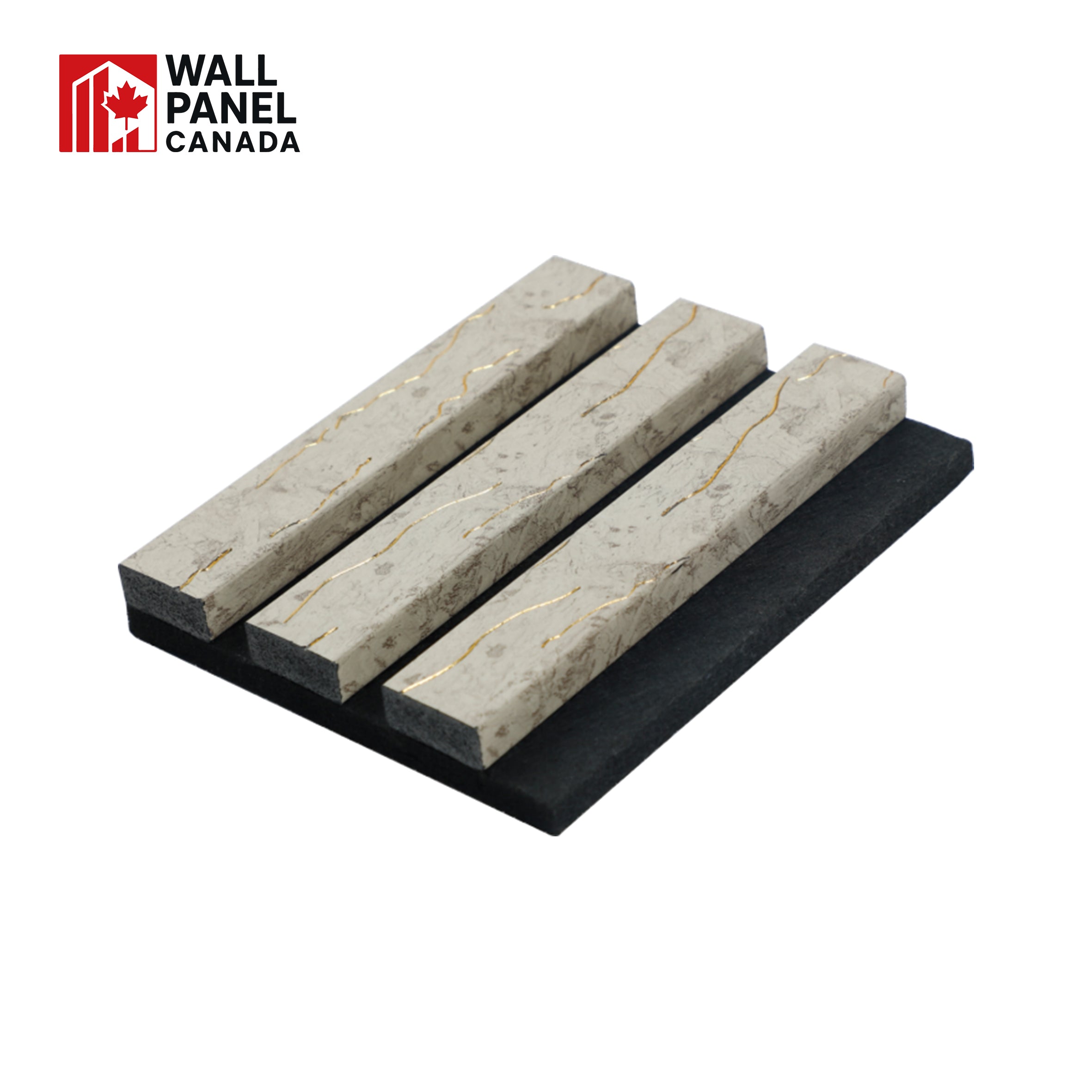 ACOUSTIC CARARA 6302C