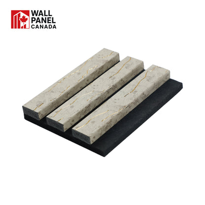 ACOUSTIC CARARA 6302C